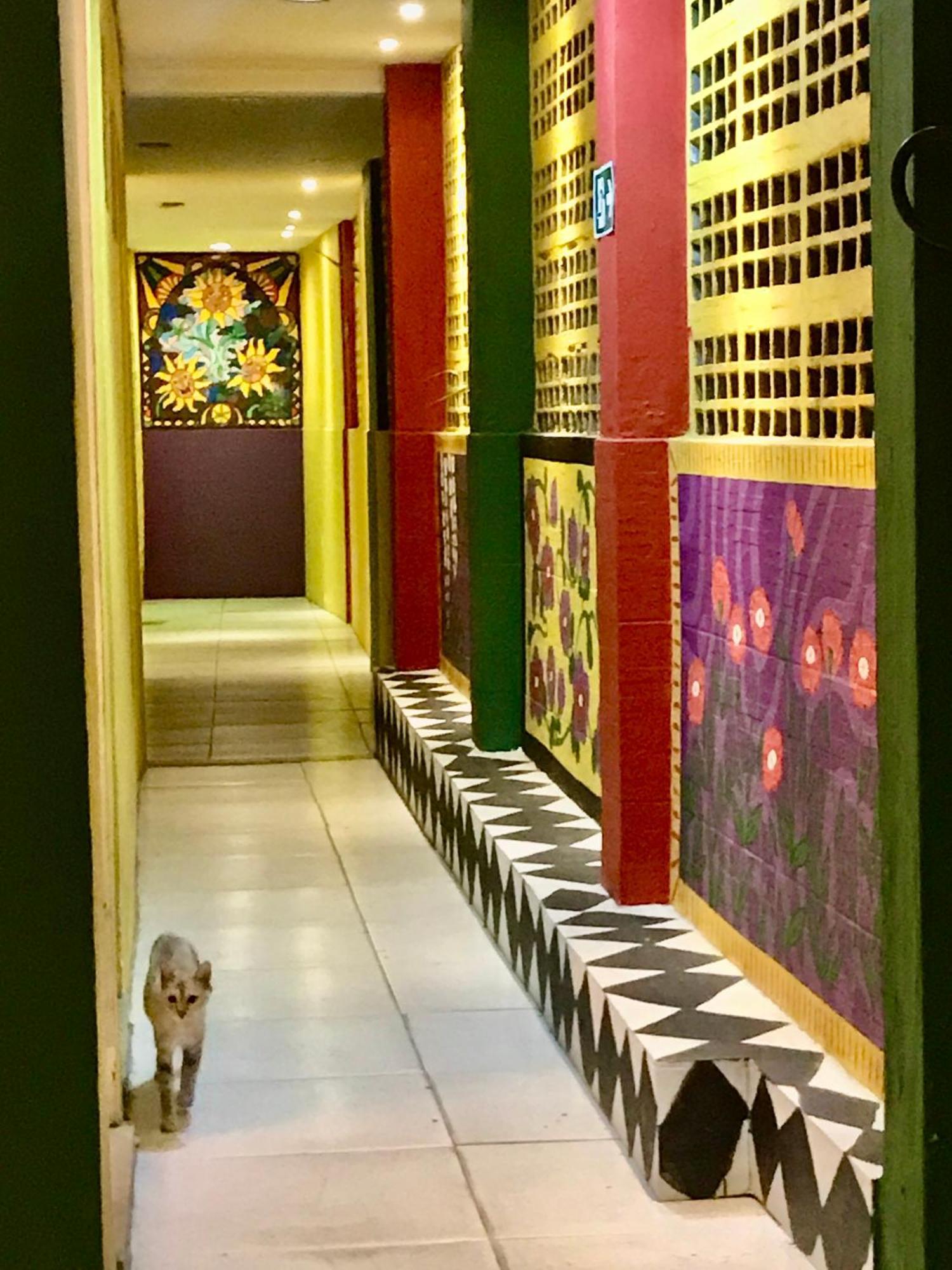 Hostel Do Rasta Salwador Zewnętrze zdjęcie